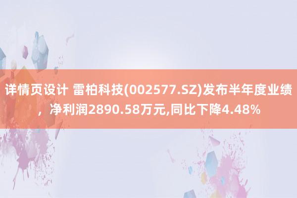 详情页设计 雷柏科技(002577.SZ)发布半年度业绩，净利润2890.58万元,同比下降4.48%