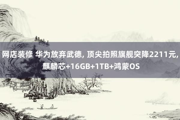 网店装修 华为放弃武德, 顶尖拍照旗舰突降2211元, 麒麟芯+16GB+1TB+鸿蒙OS