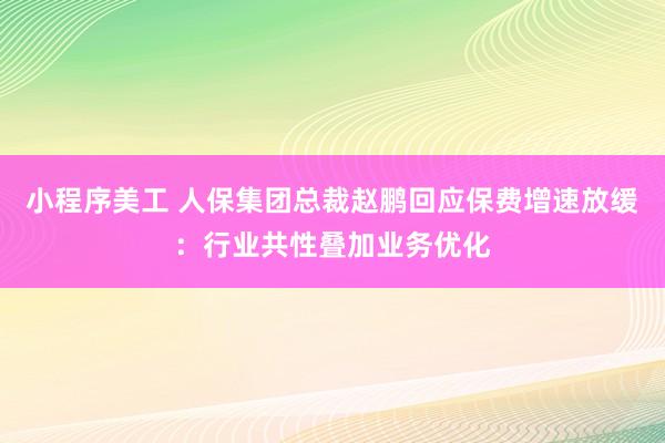 小程序美工 人保集团总裁赵鹏回应保费增速放缓：行业共性叠加业务优化